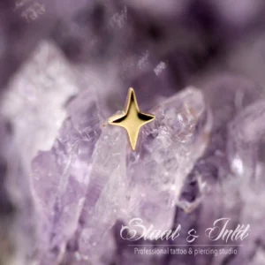 Ember Body Jewelry - 4 Point Star - YG